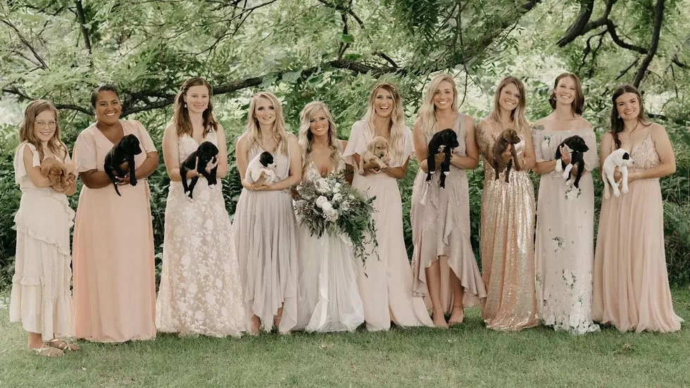 9 Noah’s Ark Puppies Adopted After “Puppy Bouquet” Wedding