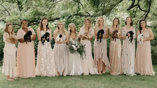 9 Noah&#8217;s Ark Puppies Adopted After &#8220;Puppy Bouquet&#8221; Wedding