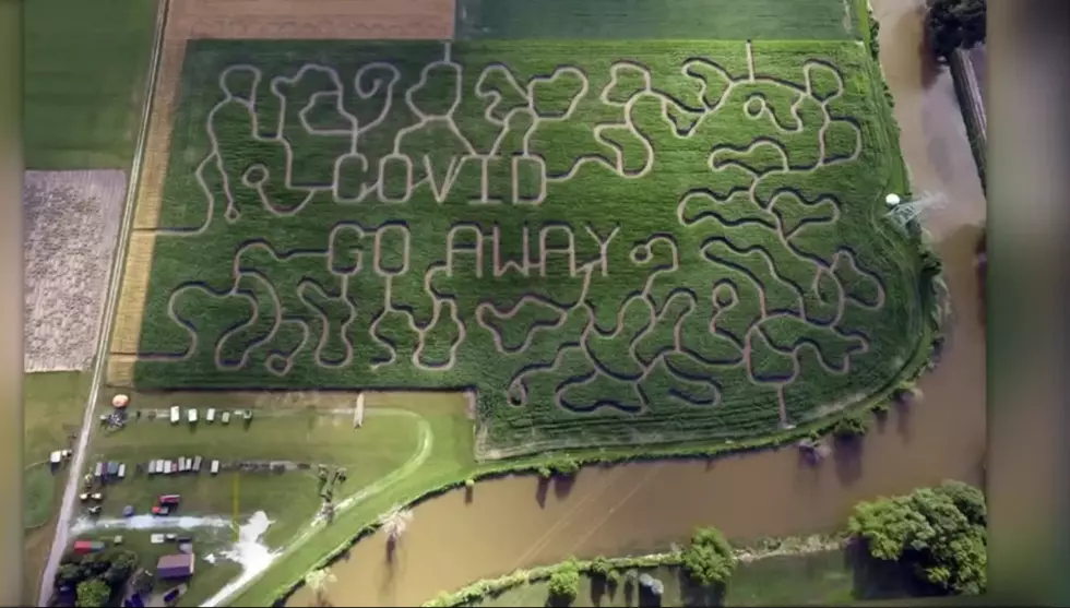 WOW! Michigan Farm Creates ‘COVID Go Away’ Corn Maze
