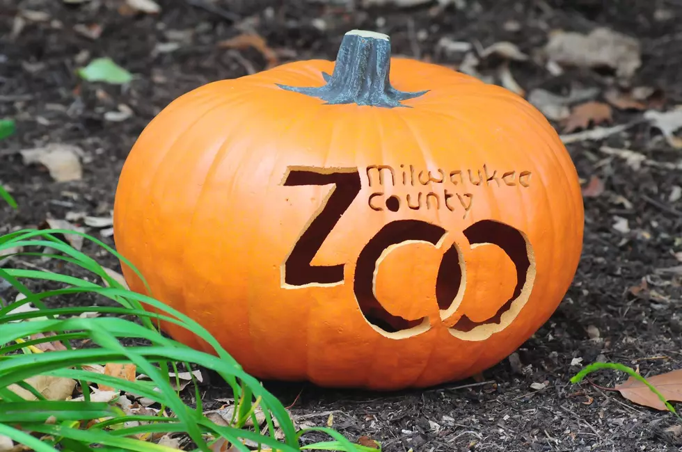 Milwaukee Zoo Saves Halloween with ‘Boo at the Zoo’ Drive-Thru Event