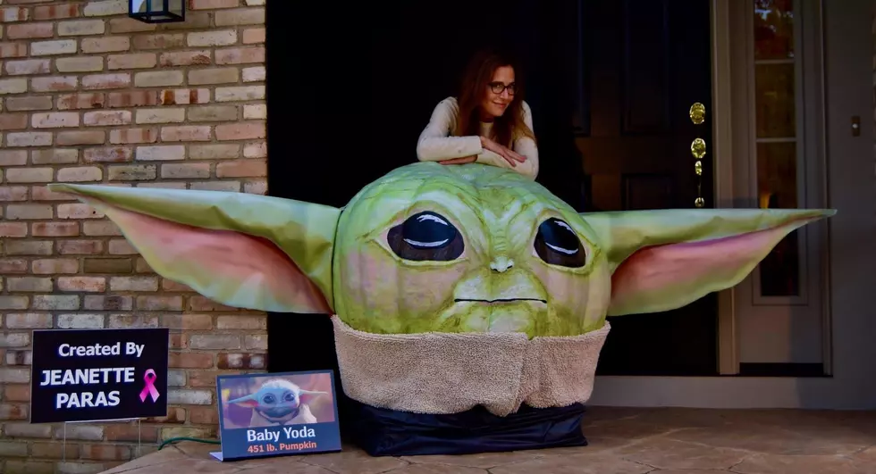 Ohio Woman Turns 451-pound pumpkin Into Baby Yoda