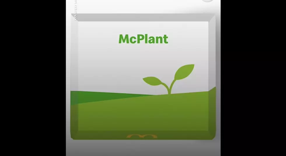 McDonald's Confirms "McPlant" Burger - When Will it Come to RKFD?