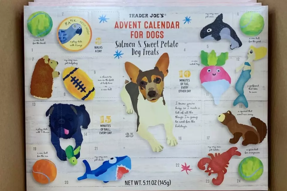 You Got Your Advent Calendar - But Did You Get Your Pet One? 