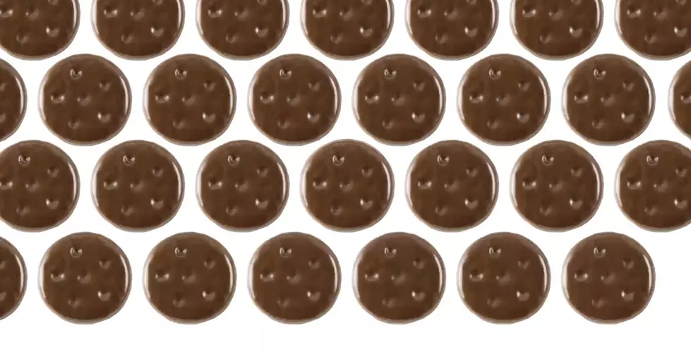 It’s Girl Scout Cookie Season – Here’s Illinois’ Favorite Flavor