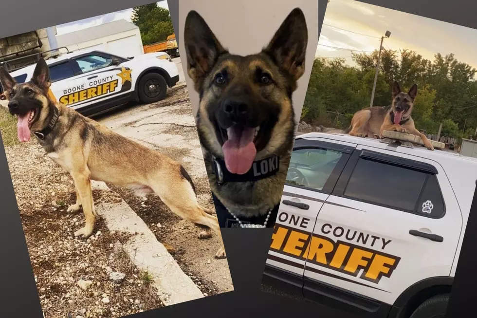 Funeral For Boone County K9 Killed By Drunk Driver To Be Streamed