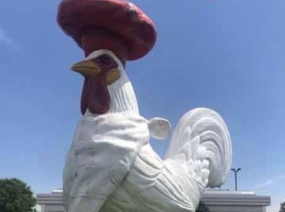 Wisconsin Restaurant Offering Reward For Return of Giant Rooster