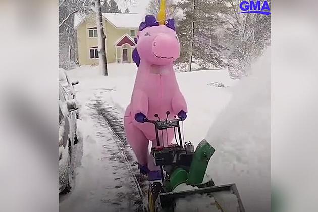 Wisconsin Woman Spreads Joy by Plowing Snow as Inflatable Unicorn