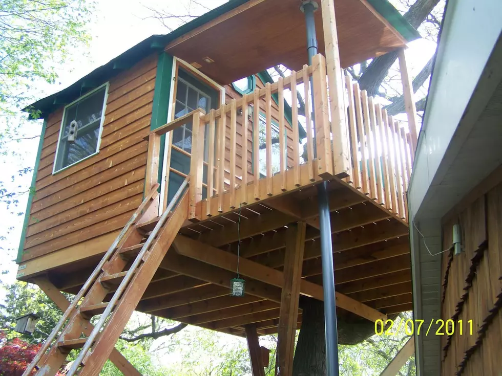 Spend the Night at an Enchanted Tree House Not Far From Rockford