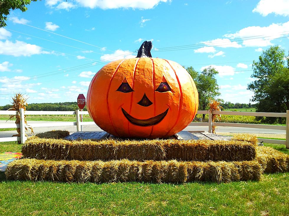 25 Things You Might Actually NOT Hate About Fall in Rockford