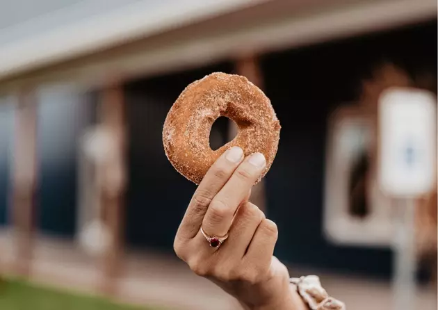 5 Different Ways to Enjoy Illinois&#8217; Delicious Apple Cider Donuts