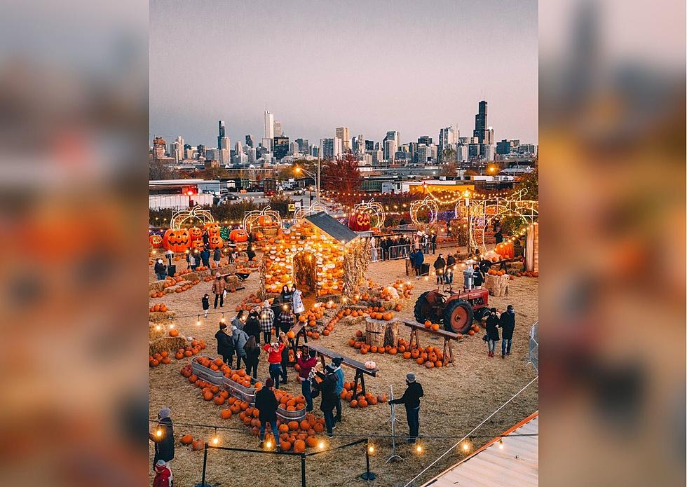 Chicago’s Epic 2 Acre Pop-up Pumpkin Patch is Back For 2021