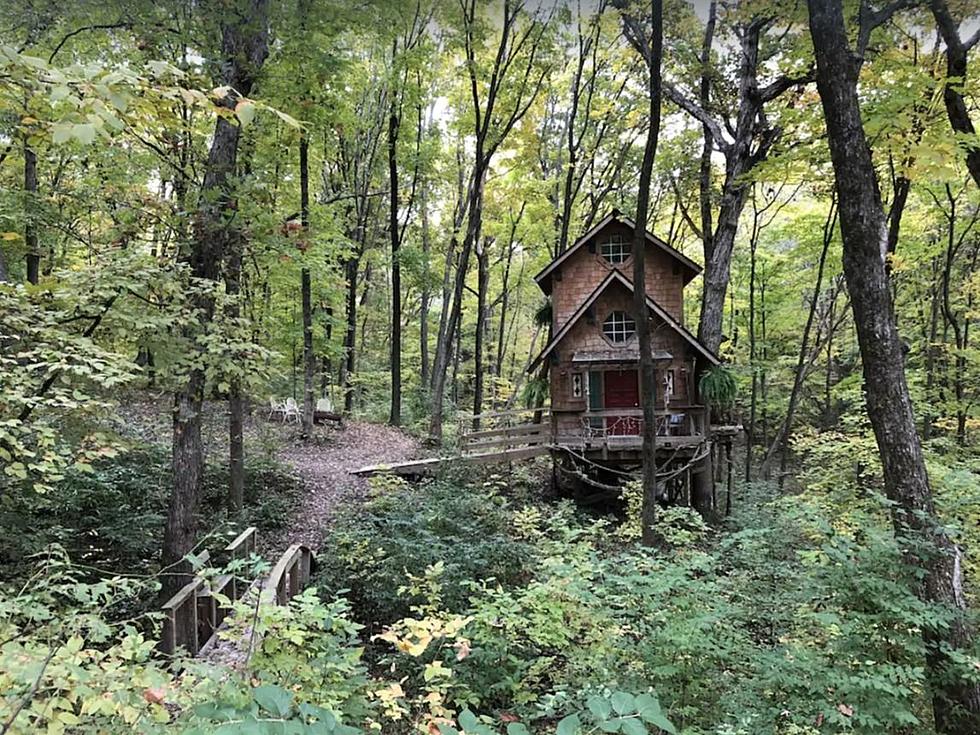 Off-The-Grid Hidden Gem Might Be Illinois' Best Treehouse Hotel
