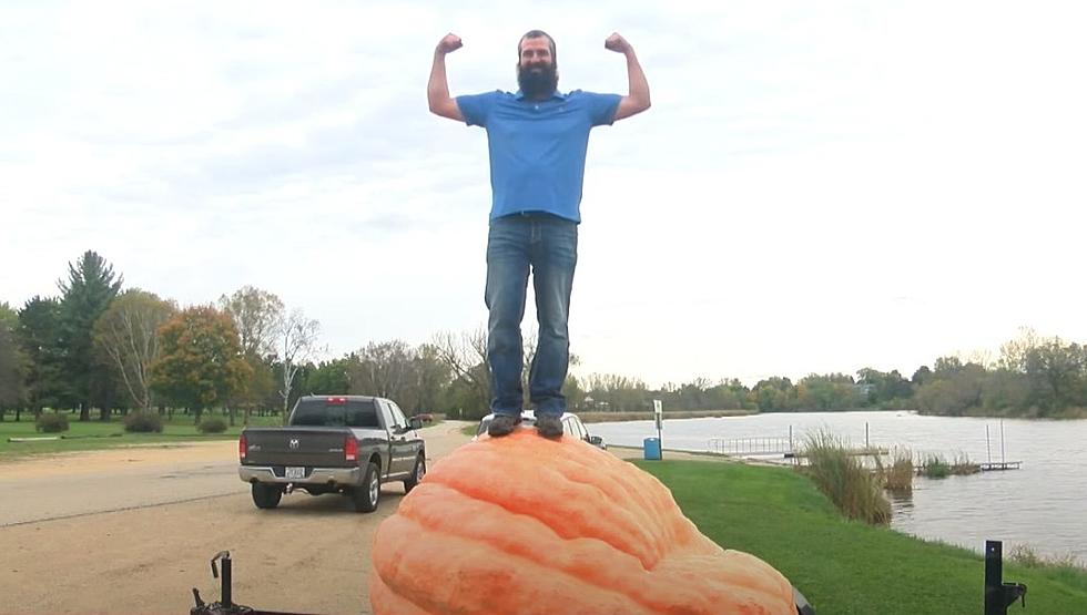 Hello Gourd-geous! Wisconsin Man Grows America's Heaviest Pumpkin