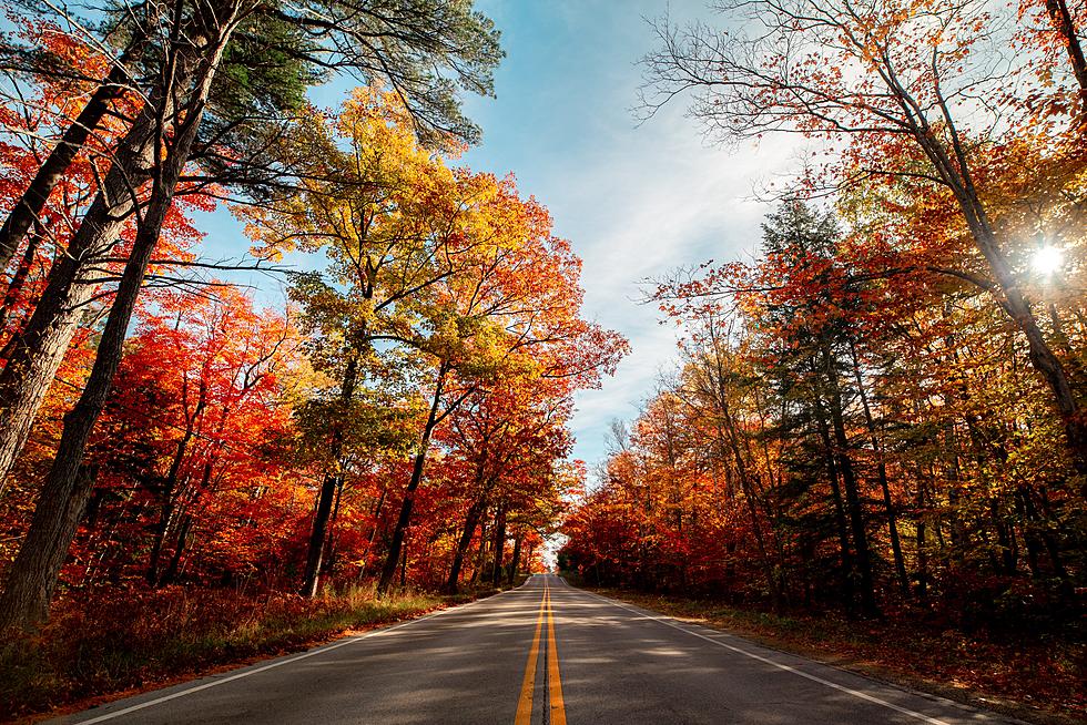 Get Ready Wisconsin! Fall is About to Put on a Very Colorful Show