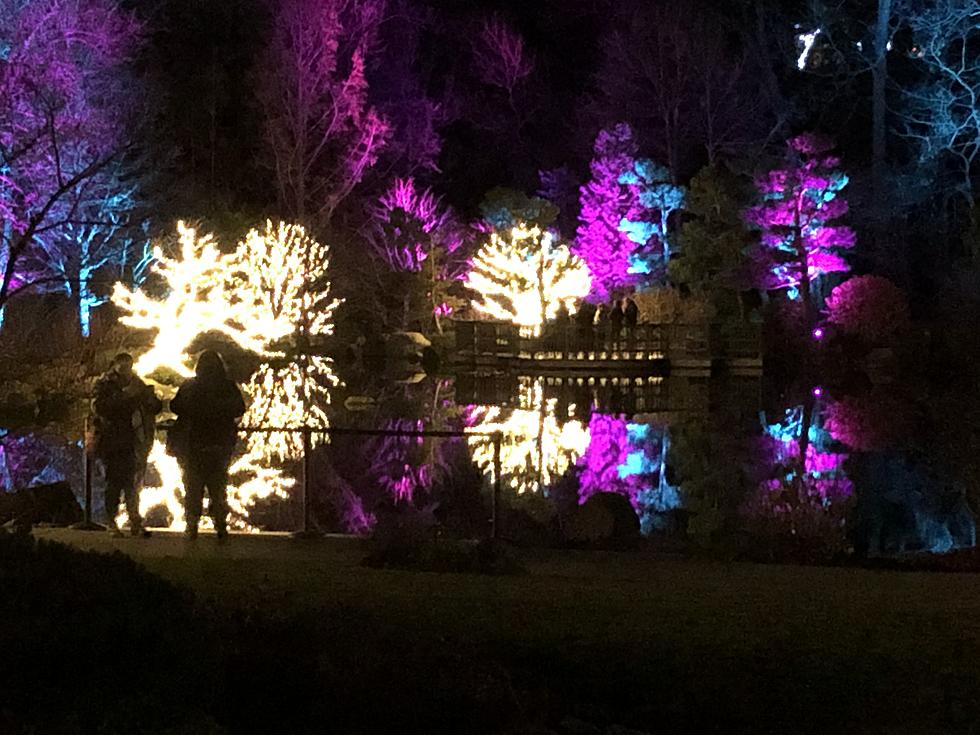 LOOK! World Famous Illinois Garden’s Spectacular New Holiday Light Show