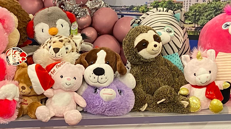 Illinois Woman Collects Hundreds of Teddy Bears for Local Hospitals