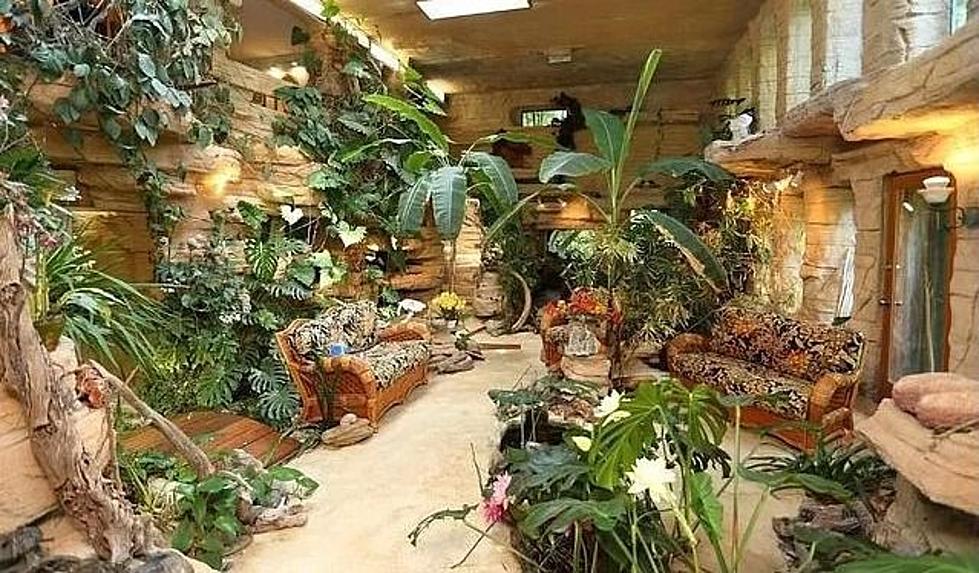This Wild Wisconsin ‘Indoors is Outdoors’ House Was Once Listed for $1M