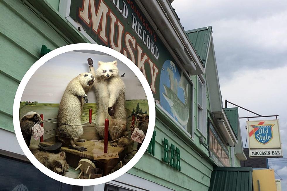 Wisconsin's Top Dive Bar Offers Cheap Drinks & Taxidermy