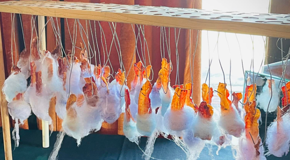 Illinois Restaurant’s Cotton Candy Wrapped Bacon is Blowing Minds
