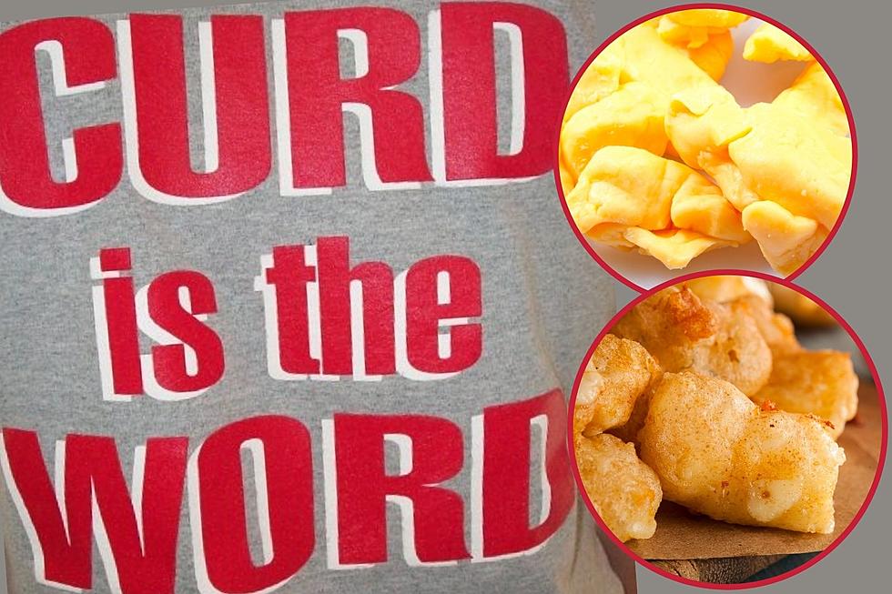 6 Ways to Know if Your Squeaky Wisconsin Cheese Curd is Outstanding