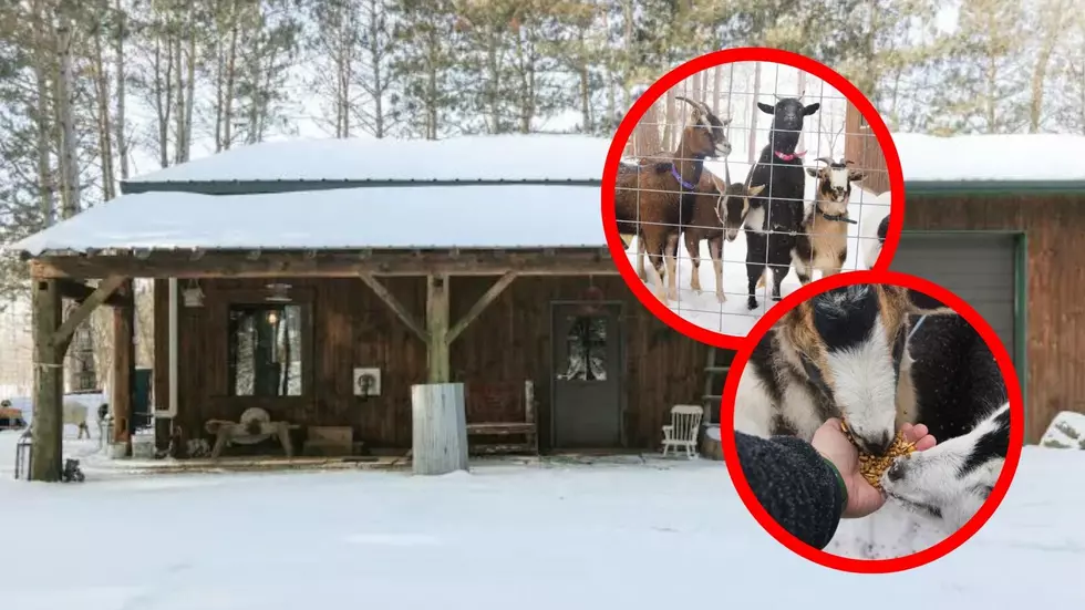 Play With Adorable Goats When You Stay At This 100-Year-Old Wisconsin Barn