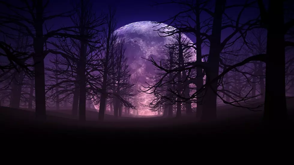 Admire The Full Moon While Hiking Through Nature At Night In Rockford