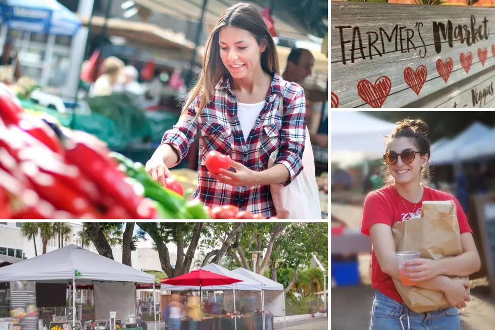 Illinois Peeps: 5 Things We’re Doing Wrong at a Farmer’s Market