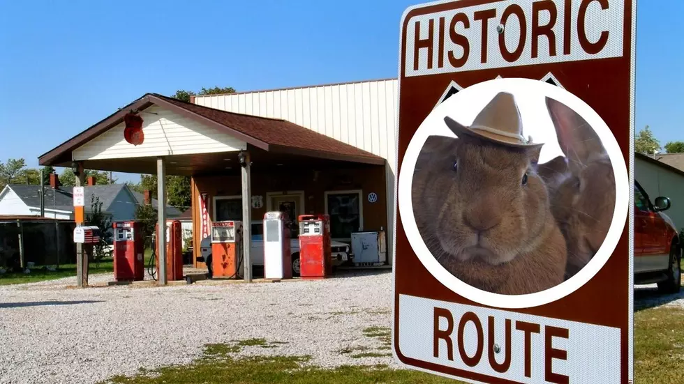 One Of The Strangest Roadside Attractions Was Spotted In Illinois