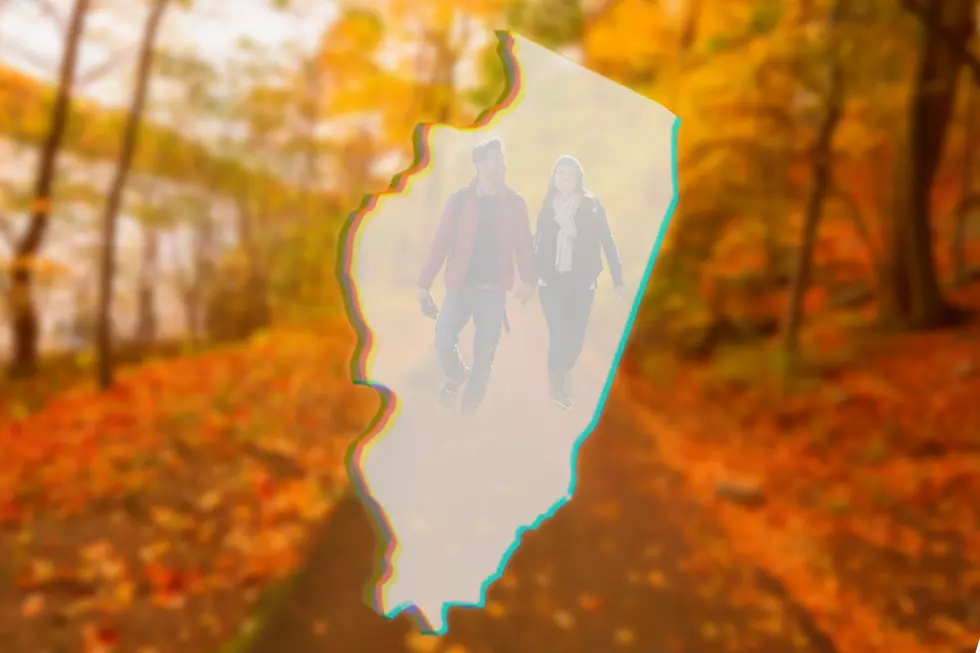 50+ Reasons This IL Town is One of Best Fall Destinations in US