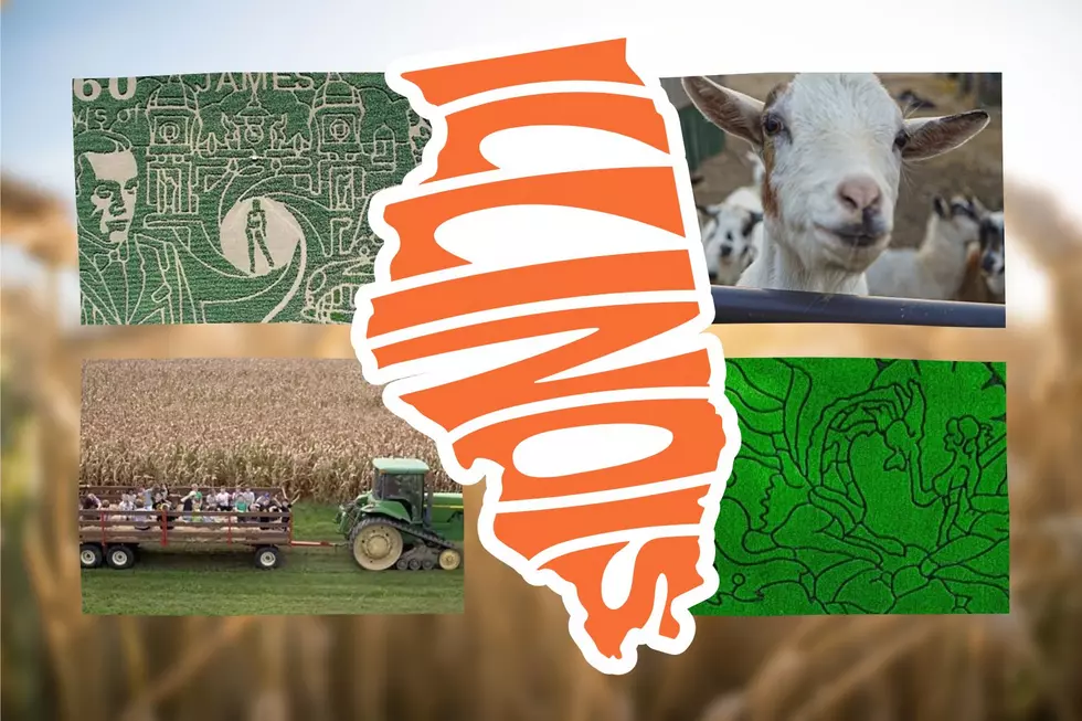 5 of The Best and Biggest Corn Mazes in Illinois and the World