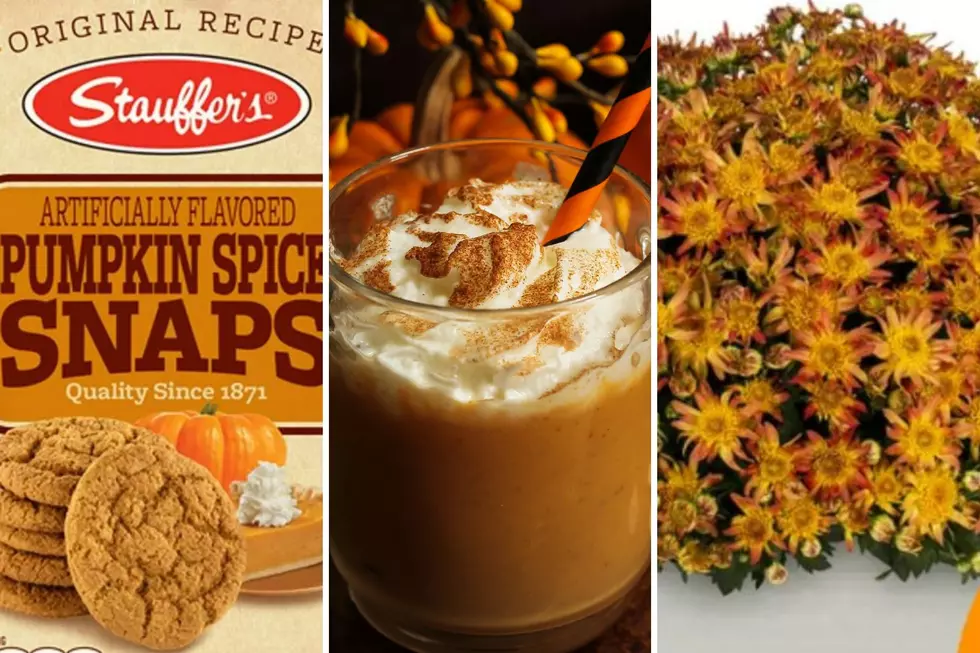 10 Best Pumpkin Spice Groceries You Can Buy Right Now In Illinois