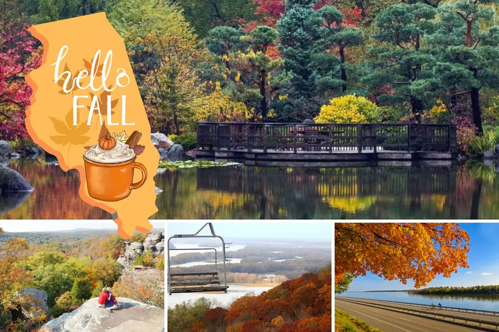 5 Spots in Illinois Where Fall Colors Look The Best