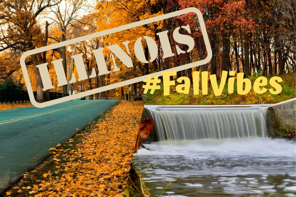 Forgot How Good Fall In IL Looks? Here are 20 Amazing Reminders