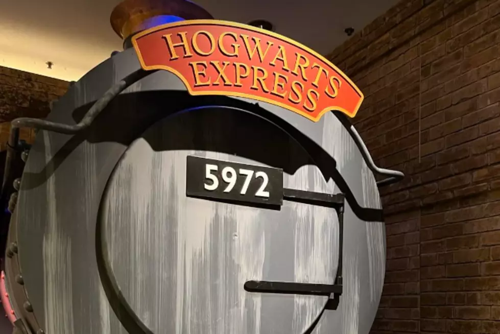 Illinois Harry Potter Fans are in for a Huge Surprise on Friday