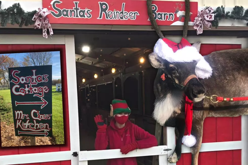 Santa’s Reindeer Are On Their Way To A Popular Zoo Near Rockford