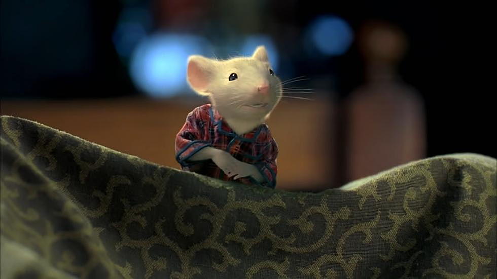 No Way - Was Stuart Little Really Found Dead In Chicago?