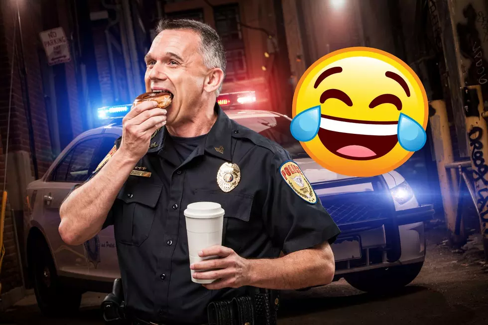 Illinois Police Attempt To Fight Crime One Donut Hole At A Time