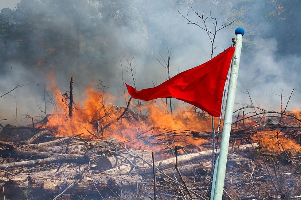 Why Is Illinois Under A Red Flag Warning & What Does It Mean?