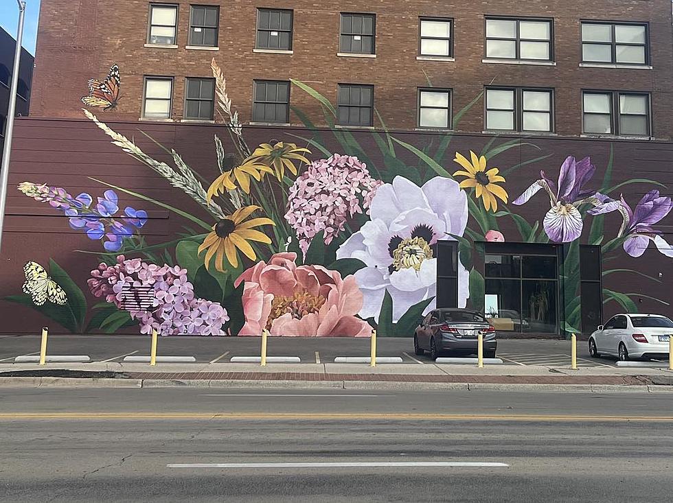 We Just Found the Most Instagram Worthy Mural in Illinois