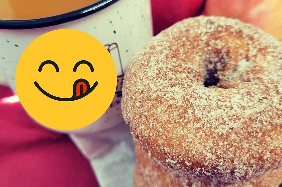 When IL's Greatest Apple Cider Donuts Will Be Available for 2023