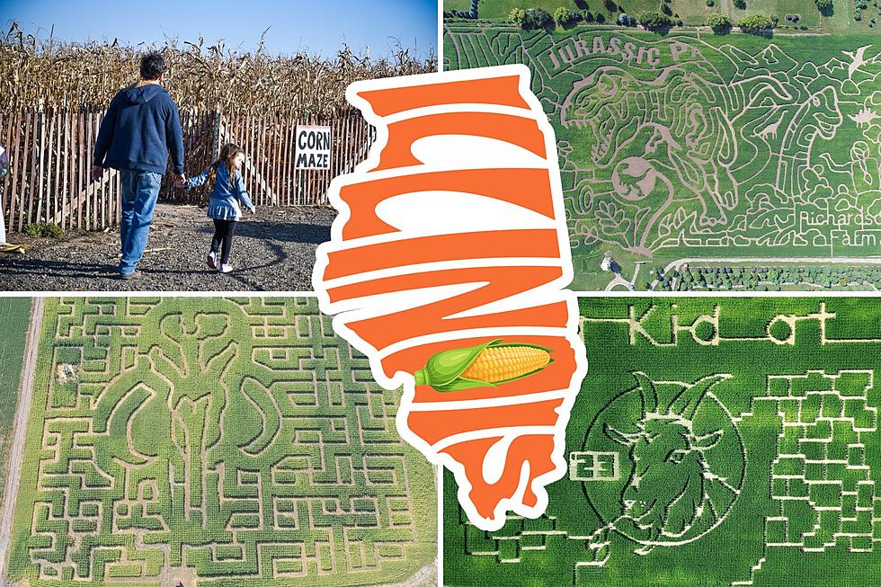 5 of The Biggest & Best Corn Mazes in Illinois