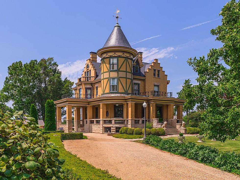 $5 Million Victorian IL Mansion with a Carousel and Other S