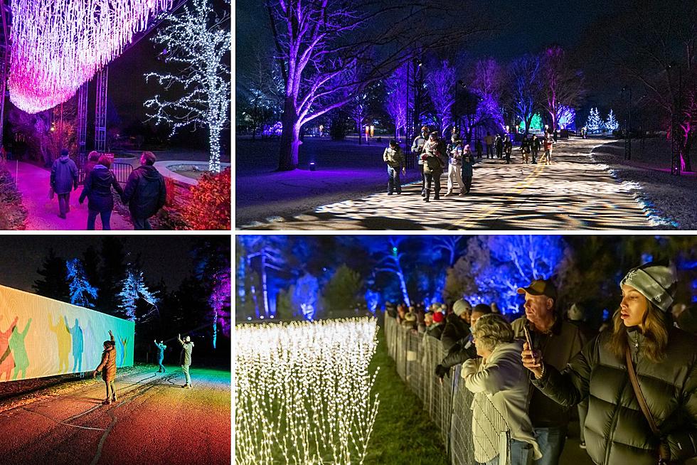 Look At This Massive &#8216;One-of-a-Kind&#8217; Holiday Light Show In Illinois