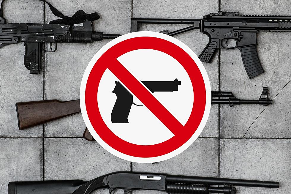 LOOK! The 170 Assault Weapons Banned In Illinois