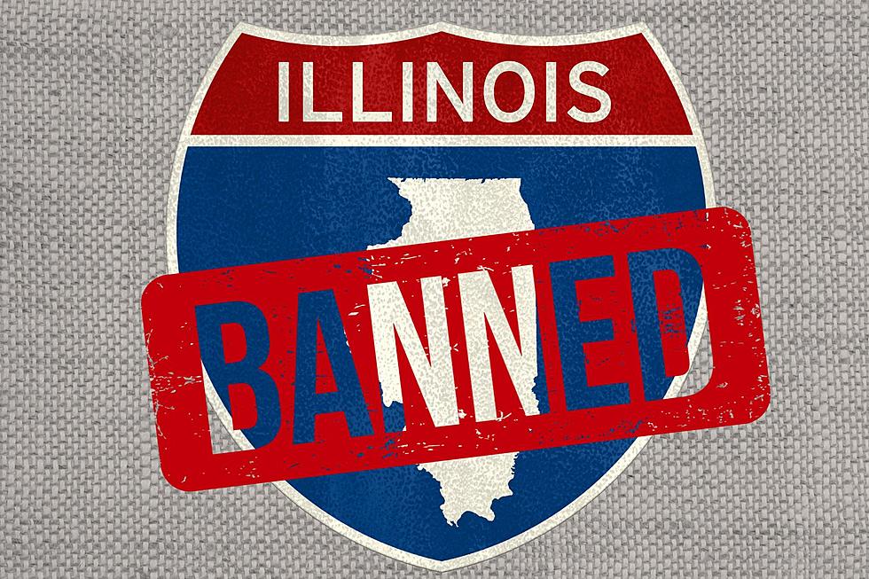 Things That Will Be Banned In Illinois In 2024