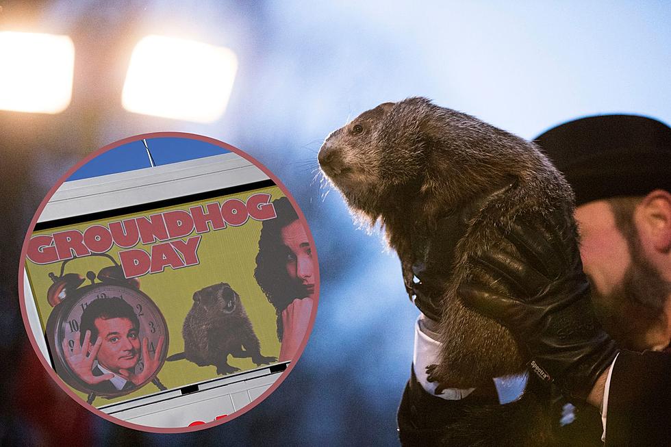 1st Ever Groundhog Day Movie Cast Reunion in Chicago, Guess What Day It Is