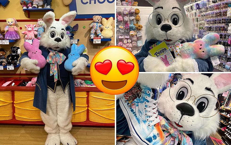 Here&#8217;s When The Easter Bunny Returns To Rockford&#8217;s CherryVale Mall