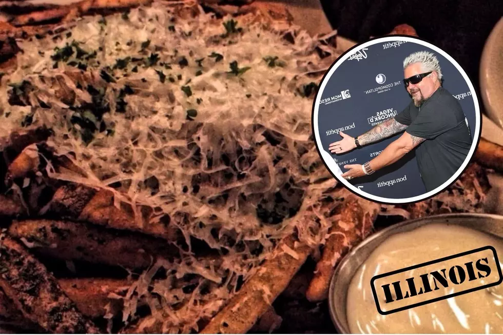 Guy Fieri Says This Illinois’ Restaurant Fries Are The Best He Ever Tasted