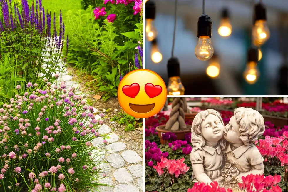 7 Decorative Ways To Beautify Your Home Garden In Illinois