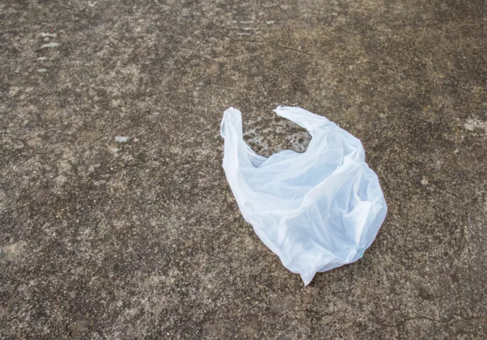 Plastic Bags Banned Starting August 1 in Chicago